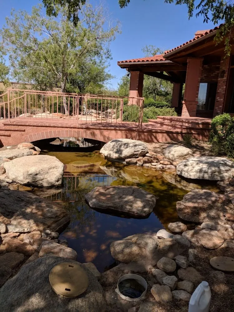 Custom residential landscaping in Tucson, AZ - Arizona Ponds & Landscaping