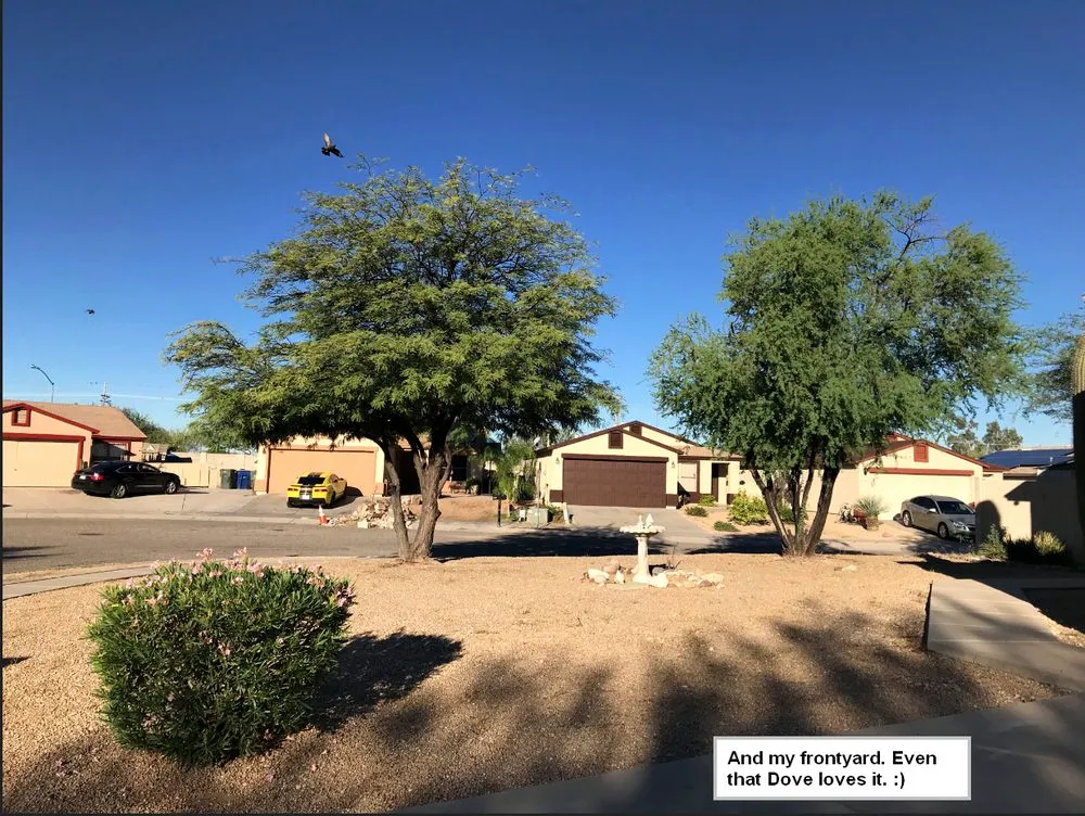 Local residential landscaping in Tucson, AZ - Arizona Ponds & Landscaping