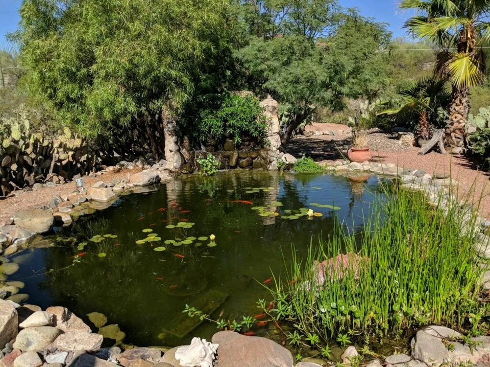 Top-rated outdoor landscaping for outdoor upgrades across Tucson, AZ - Arizona Ponds & Landscaping