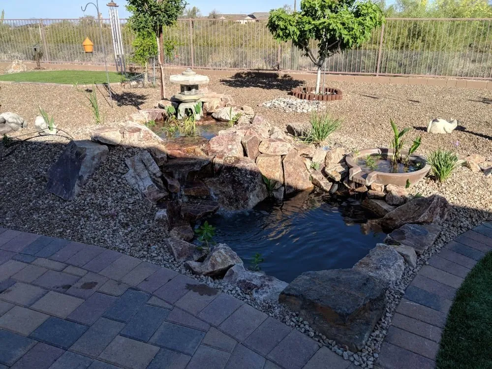 Top-rated lawn mowing service for residential properties across Tucson, AZ - Arizona Ponds & Landscaping