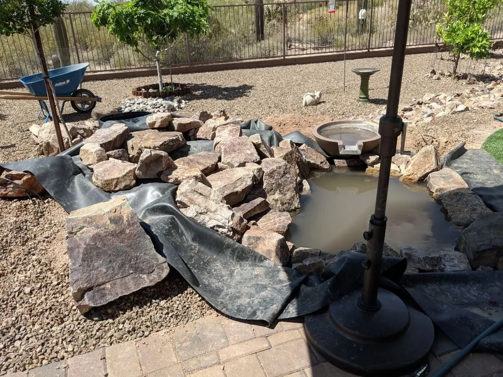 Reliable lawn mowing service for homes in Tucson, AZ by Arizona Ponds & Landscaping