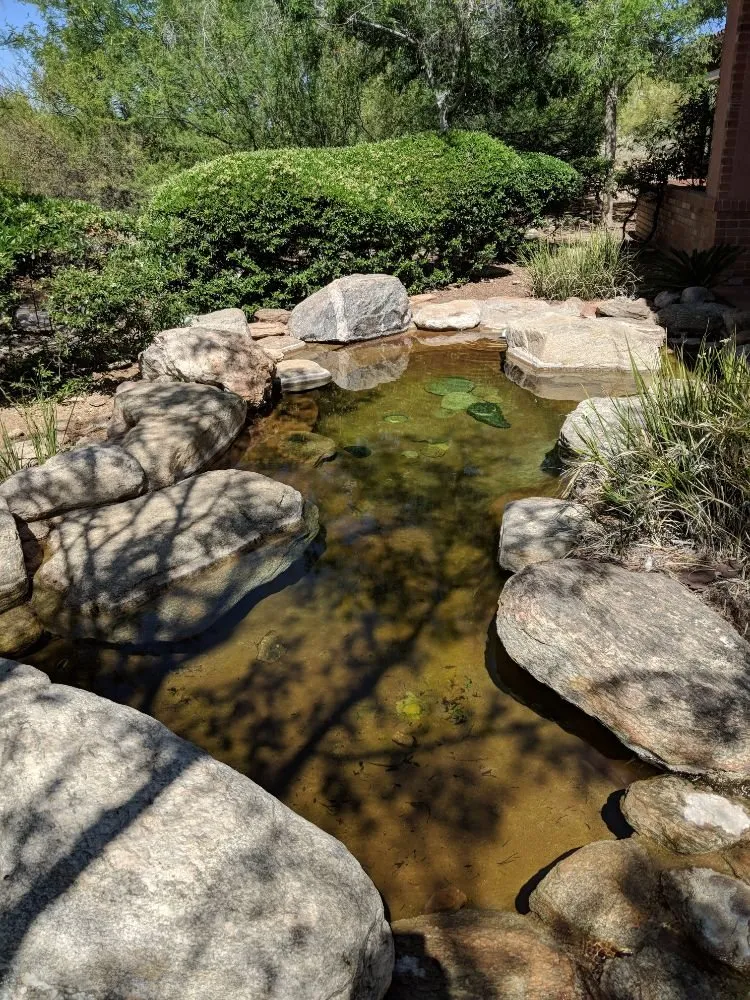 Local lawn mowing service in Tucson, AZ by Arizona Ponds & Landscaping