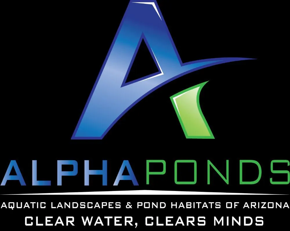 Reliable residential landscaping experts serving Tucson, AZ - Arizona Ponds & Landscaping