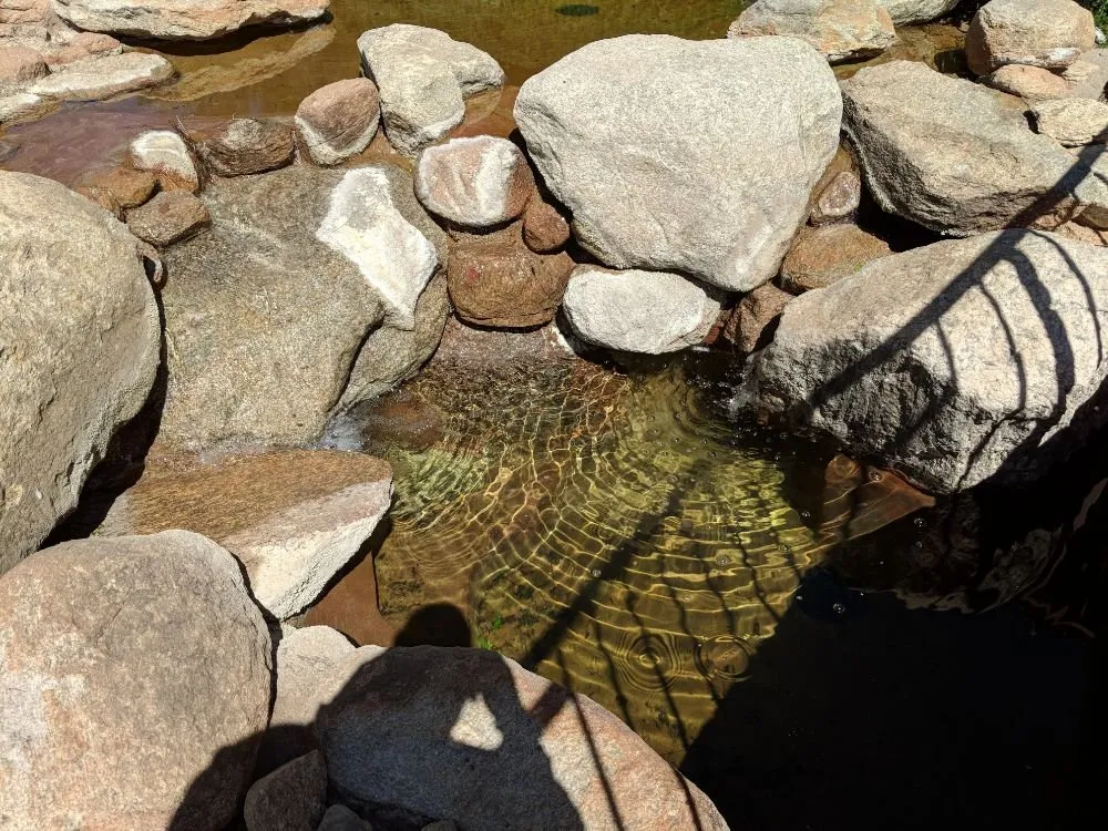 Professional yard maintenance in Tucson, AZ by Arizona Ponds & Landscaping