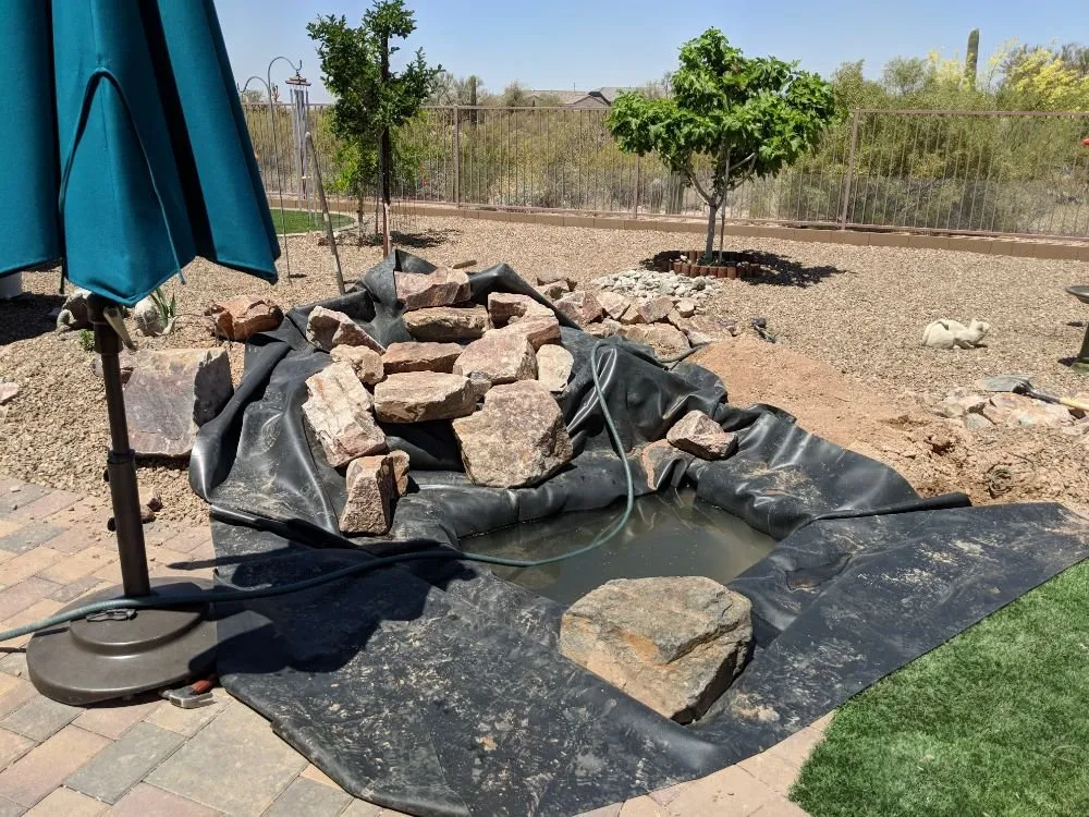 Trusted yard cleanup service in Tucson, AZ by Arizona Ponds & Landscaping