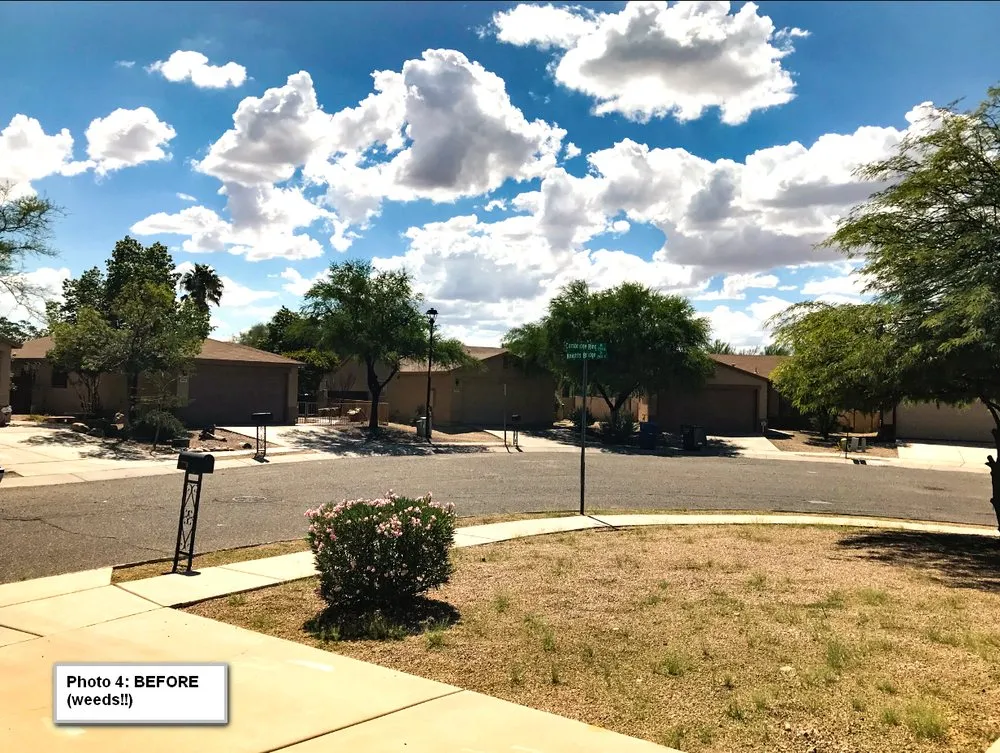 Top-rated lawn care service near you in Tucson, AZ by Arizona Ponds & Landscaping