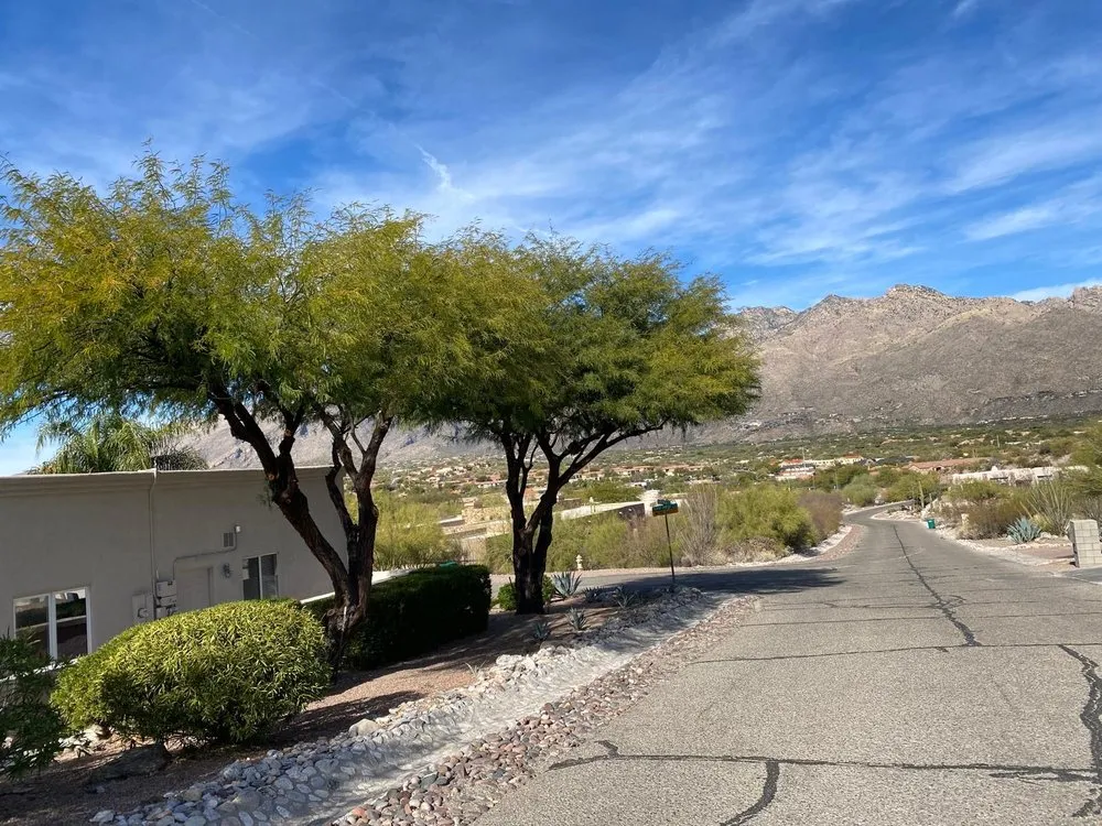 Trusted landscape design in Tucson, AZ - Arizona Pro Landscaping