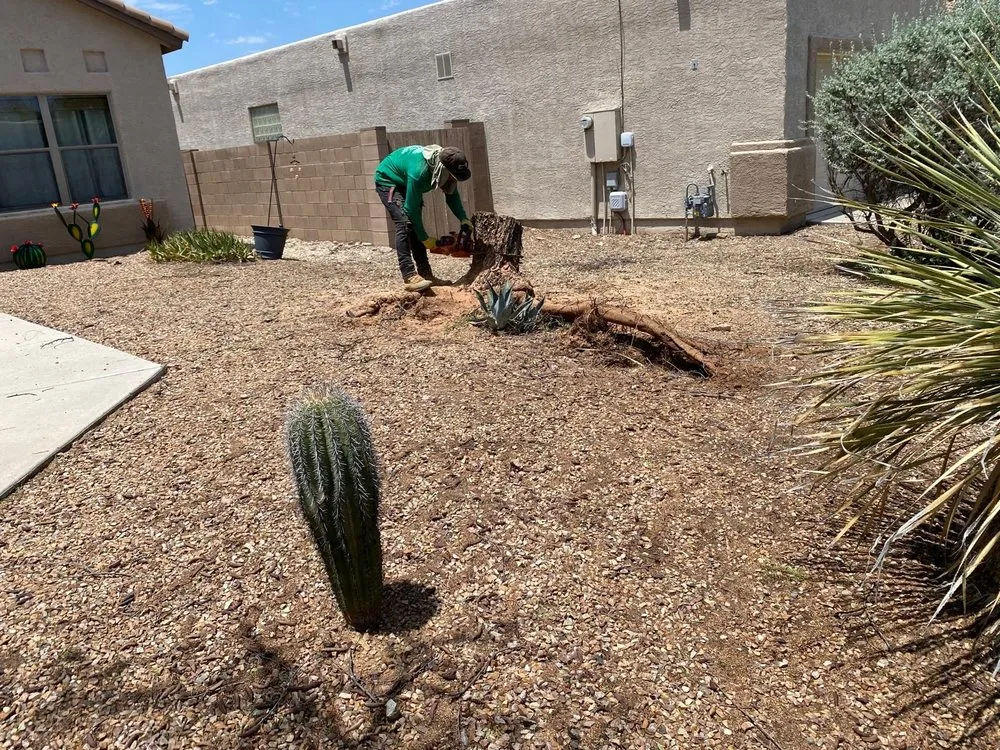 Custom yard cleanup service for year-round maintenance across Tucson, AZ - Arizona Pro Landscaping