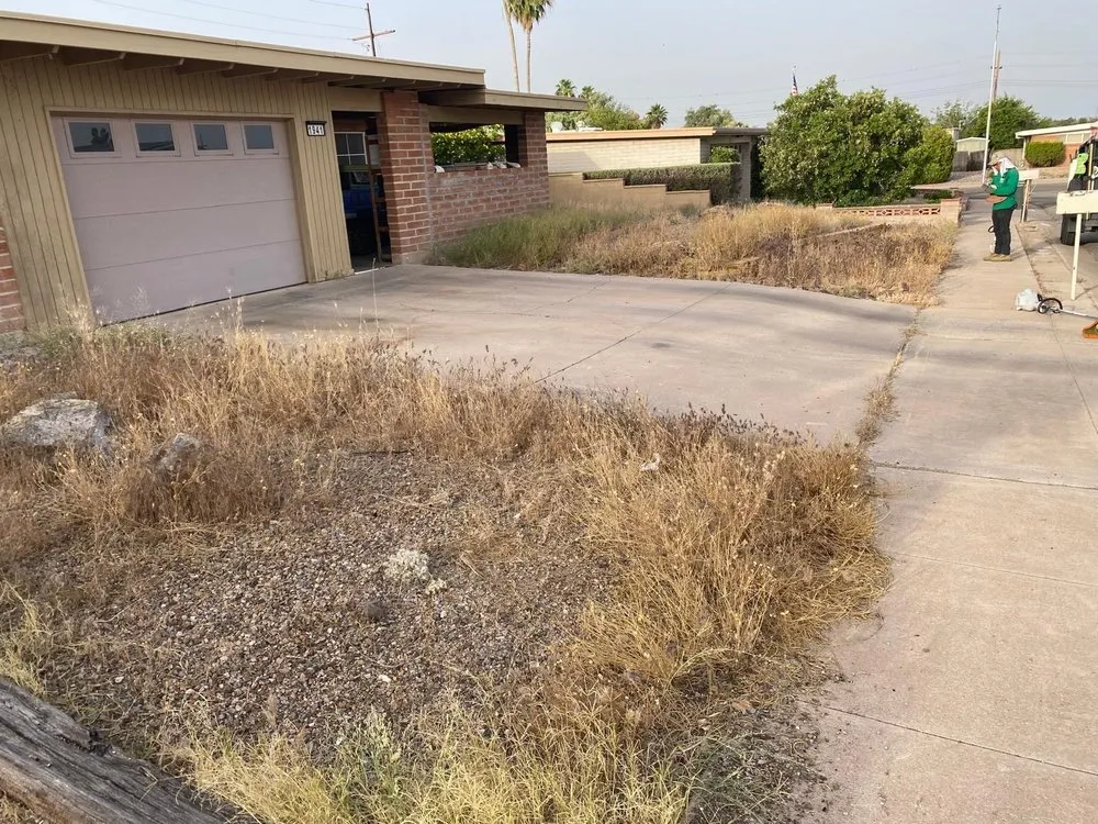 Trusted lawn care service for year-round maintenance in Tucson, AZ by Arizona Pro Landscaping
