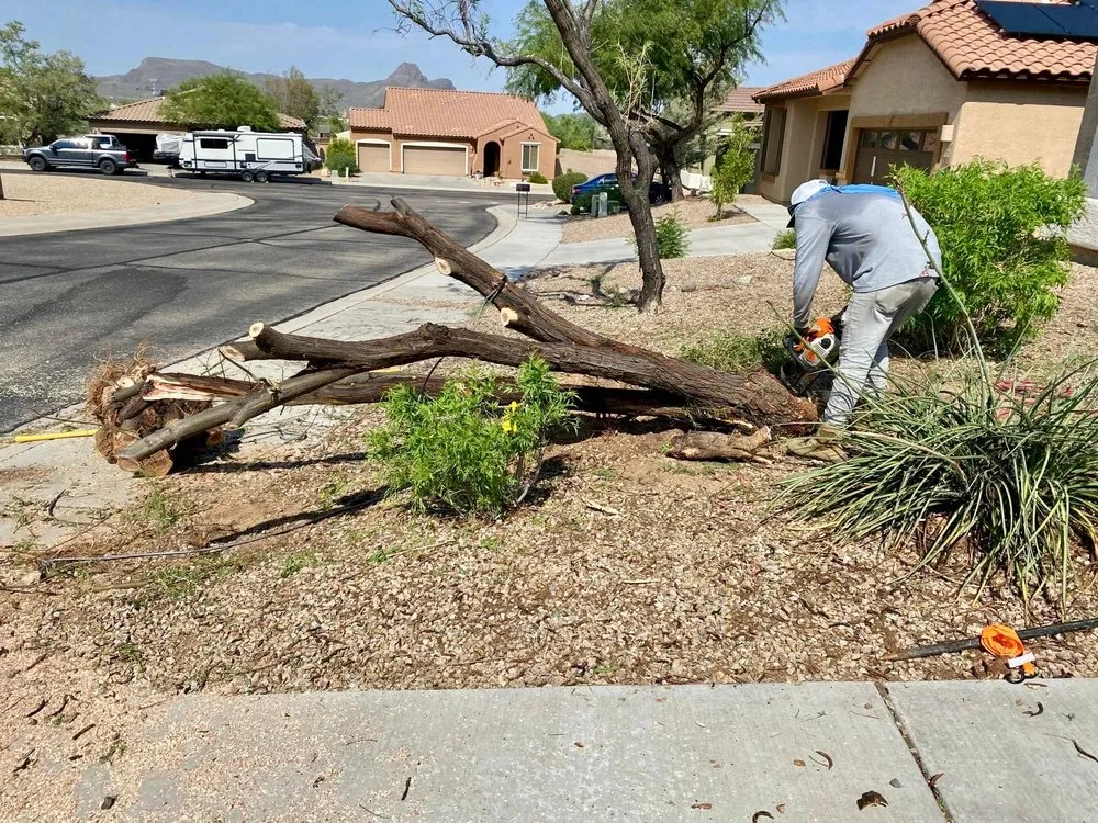 Reliable yard cleanup service experts serving Tucson, AZ - Arizona Pro Landscaping
