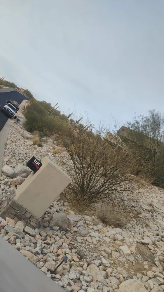 Top-rated landscape installation in Tucson, AZ - Arizona Pro Landscaping