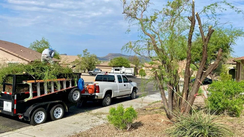 Professional landscape design for homes across Tucson, AZ - Arizona Pro Landscaping