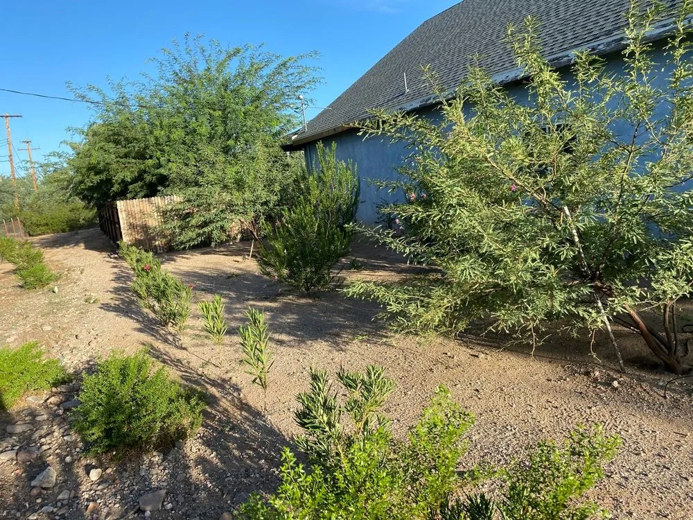 Reliable lawn mowing service experts serving Tucson, AZ - Arizona Pro Landscaping