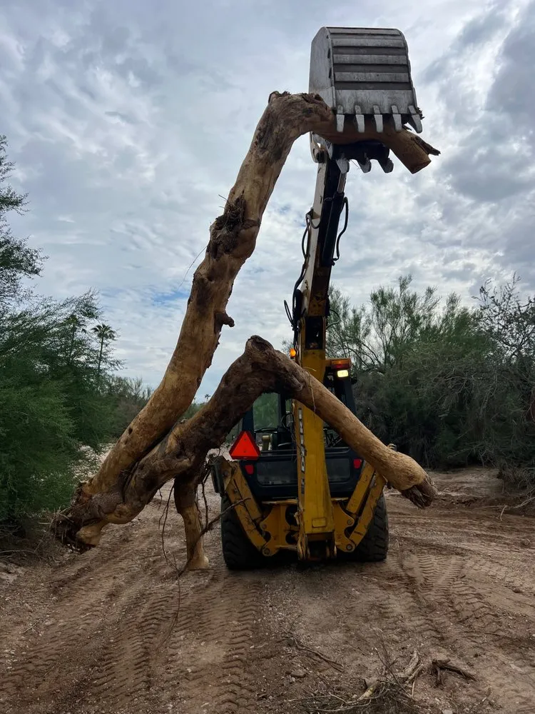 Affordable outdoor landscaping in Phoenix, AZ - Arizona Properties & Services