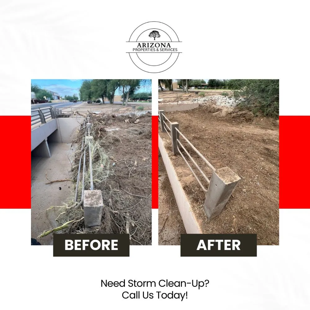 Custom yard maintenance in Phoenix, AZ by Arizona Properties & Services