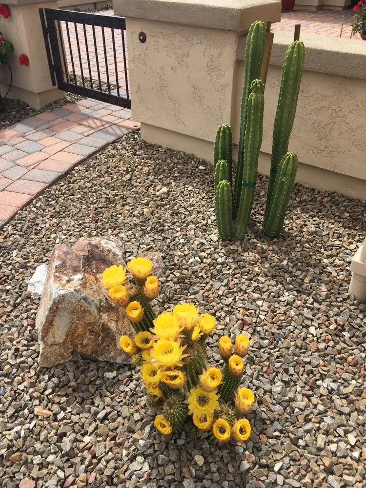 Affordable outdoor landscaping near you across Tucson, AZ - Arizona Proscapes