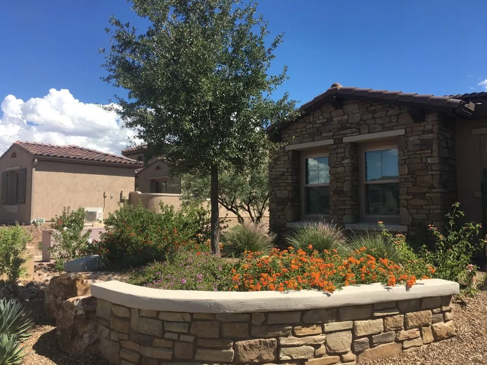 Affordable lawn care service with custom design across Tucson, AZ - Arizona Proscapes