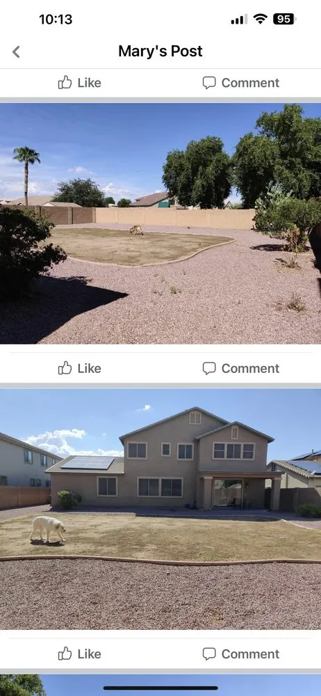 Local lawn mowing service for year-round maintenance across Surprise, AZ - Arizona Rainfall