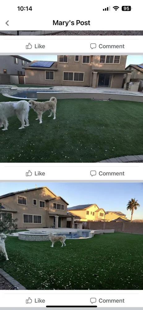 Local landscaping services in Surprise, AZ by Arizona Rainfall