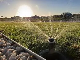 Arizona Rising Sun Landscaping Logo