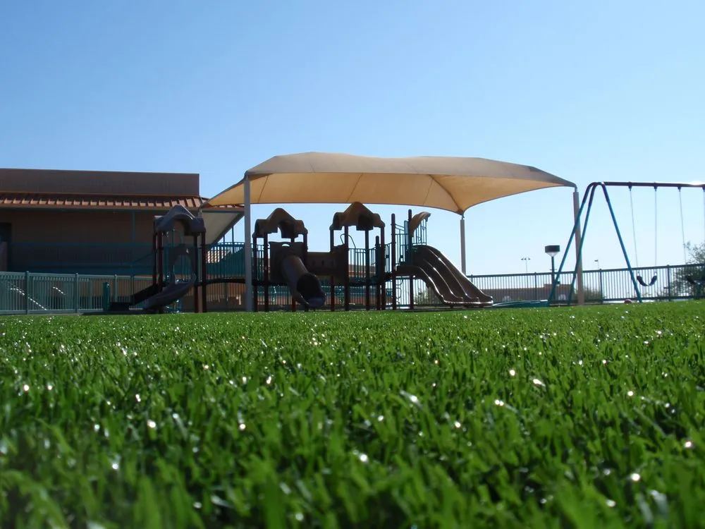 Custom yard cleanup service in Avondale, AZ - Arizona Turf Masters