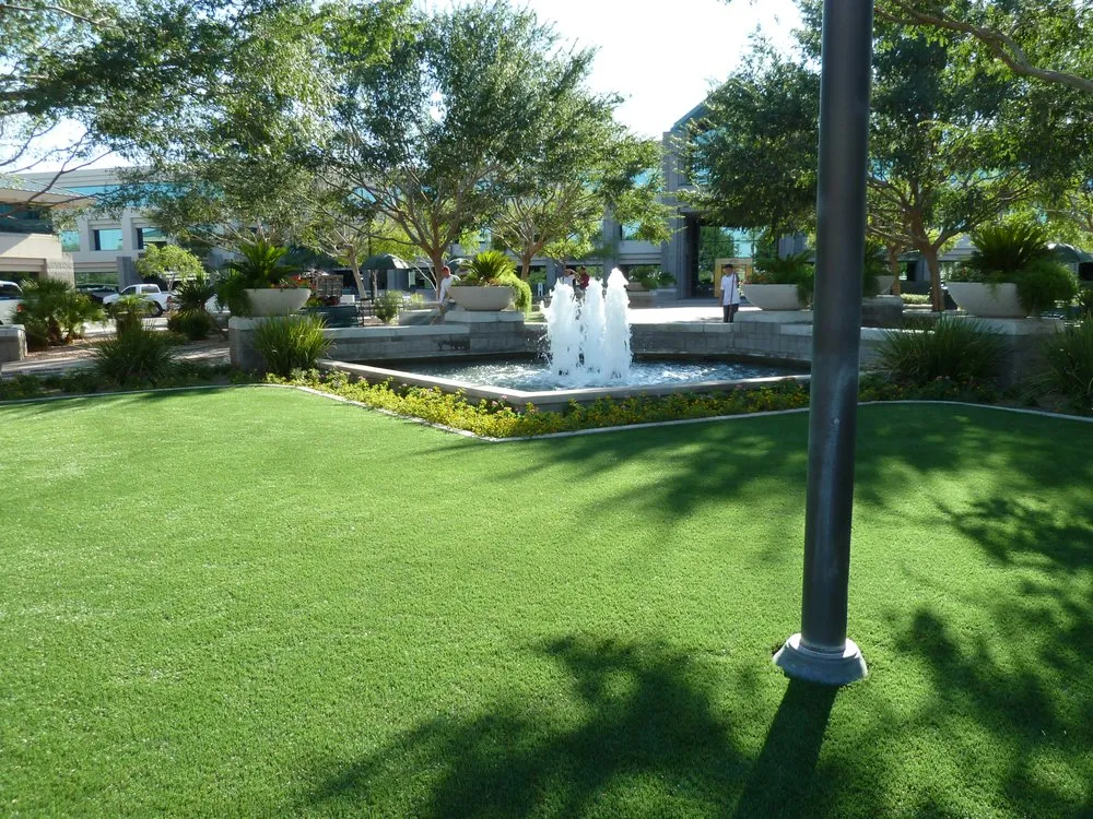 Expert yard maintenance experts serving Avondale, AZ - Arizona Turf Masters