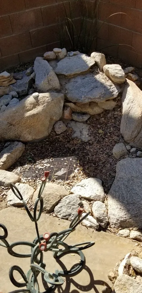 Reliable yard cleanup service for residential properties in Tucson, AZ by Arizona Turf Masters Tucson