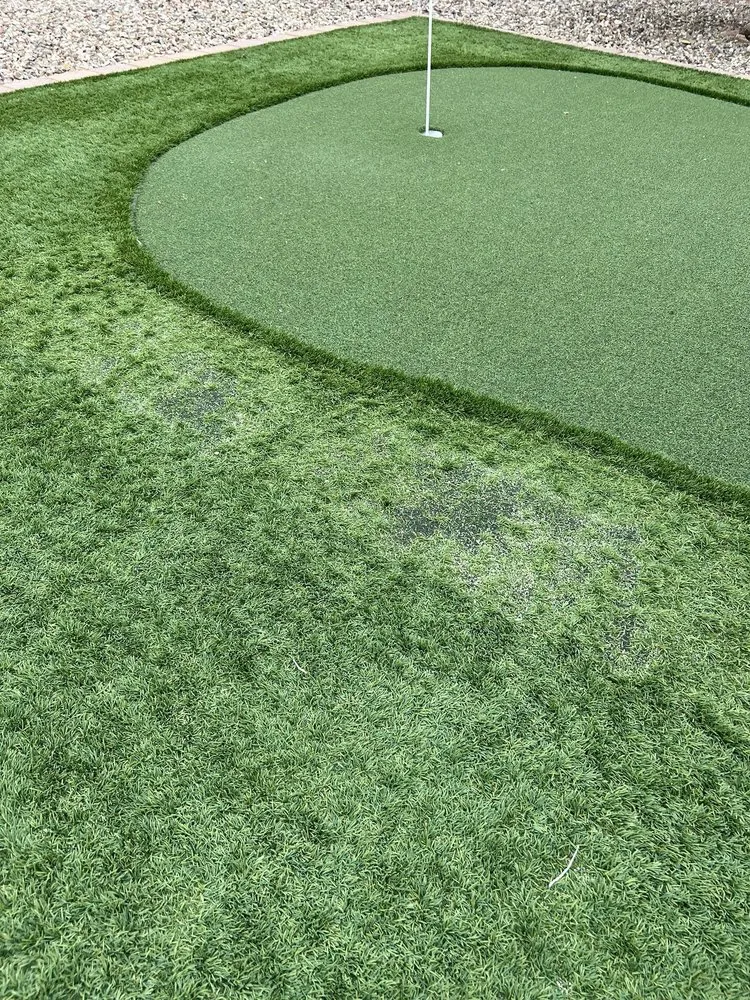 Local lawn care service experts serving Tucson, AZ - Arizona Turf Masters Tucson