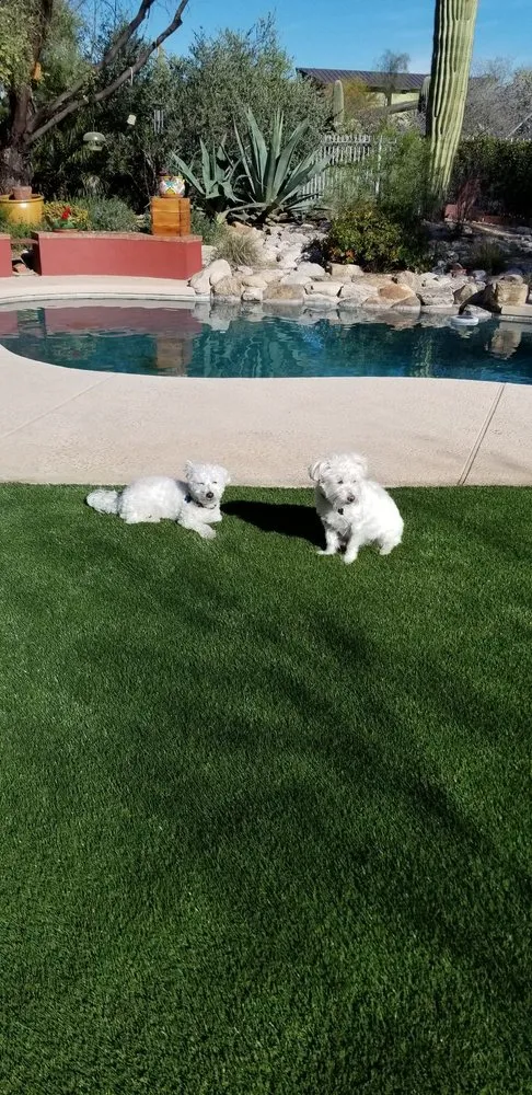 Top-rated garden landscaping for beautiful yards across Tucson, AZ - Arizona Turf Masters Tucson