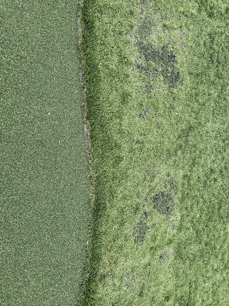 Local residential landscaping in Tucson, AZ - Arizona Turf Masters Tucson