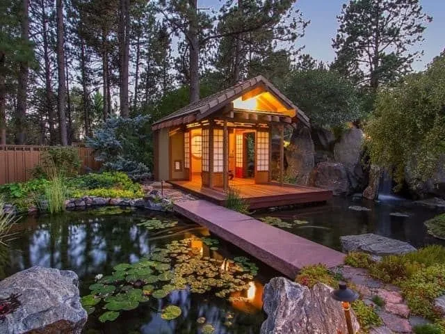 Affordable landscaping services experts serving Phoenix, AZ - Arizona Valley Landscaping