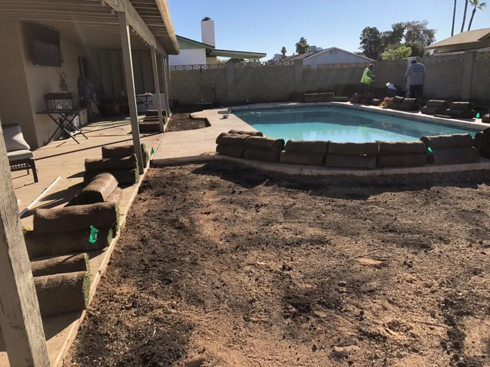 Local landscaping services for year-round maintenance in Casa Grande, AZ by Arizona Yard Doctor