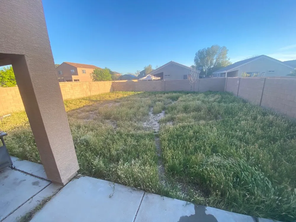 Trusted residential landscaping in Casa Grande, AZ by Arizona Yard Doctor