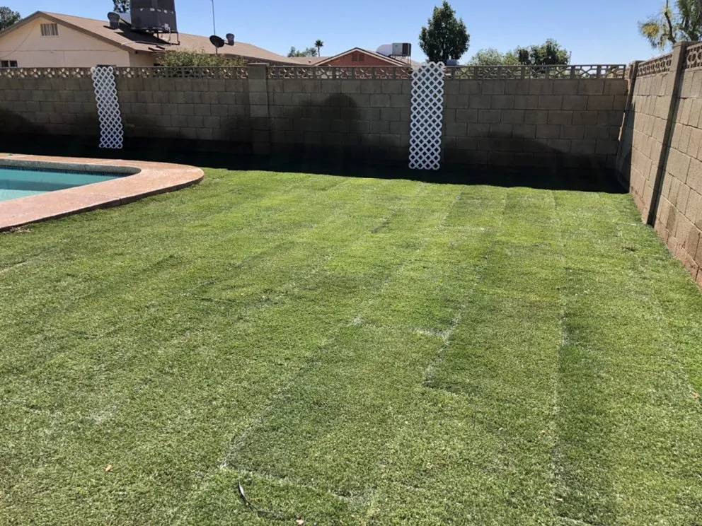 Local yard maintenance in Casa Grande, AZ - Arizona Yard Doctor