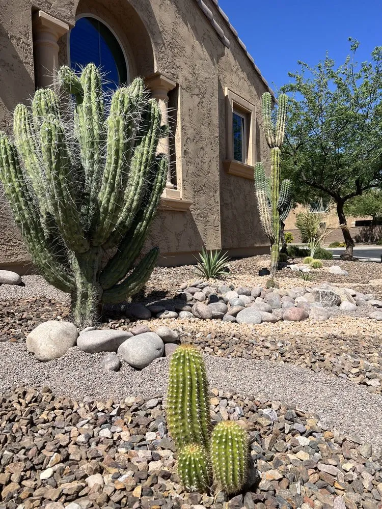 Expert yard maintenance experts serving Gilbert, AZ - Arizona Yard Makeover