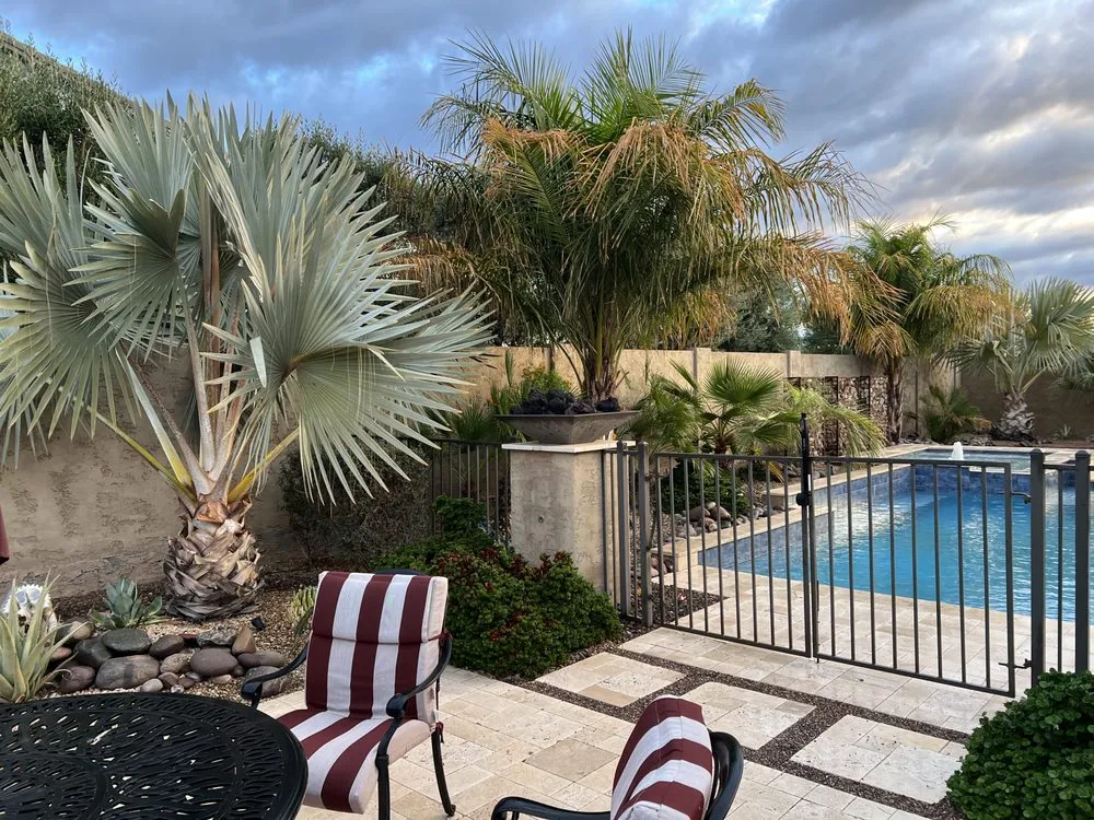 Custom landscape design in Gilbert, AZ by Arizona Yard Makeover