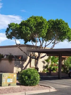 Arizona's Best Landscape Maintenance Logo