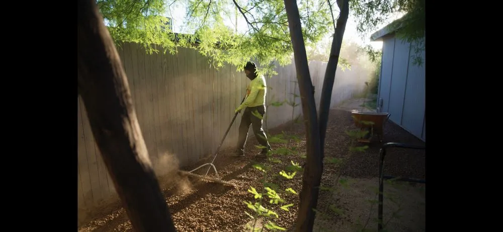 Affordable residential landscaping in Tempe, AZ - Arizona’s Landscaping Authority
