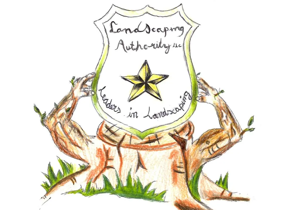 Professional yard maintenance in Tempe, AZ - Arizona’s Landscaping Authority