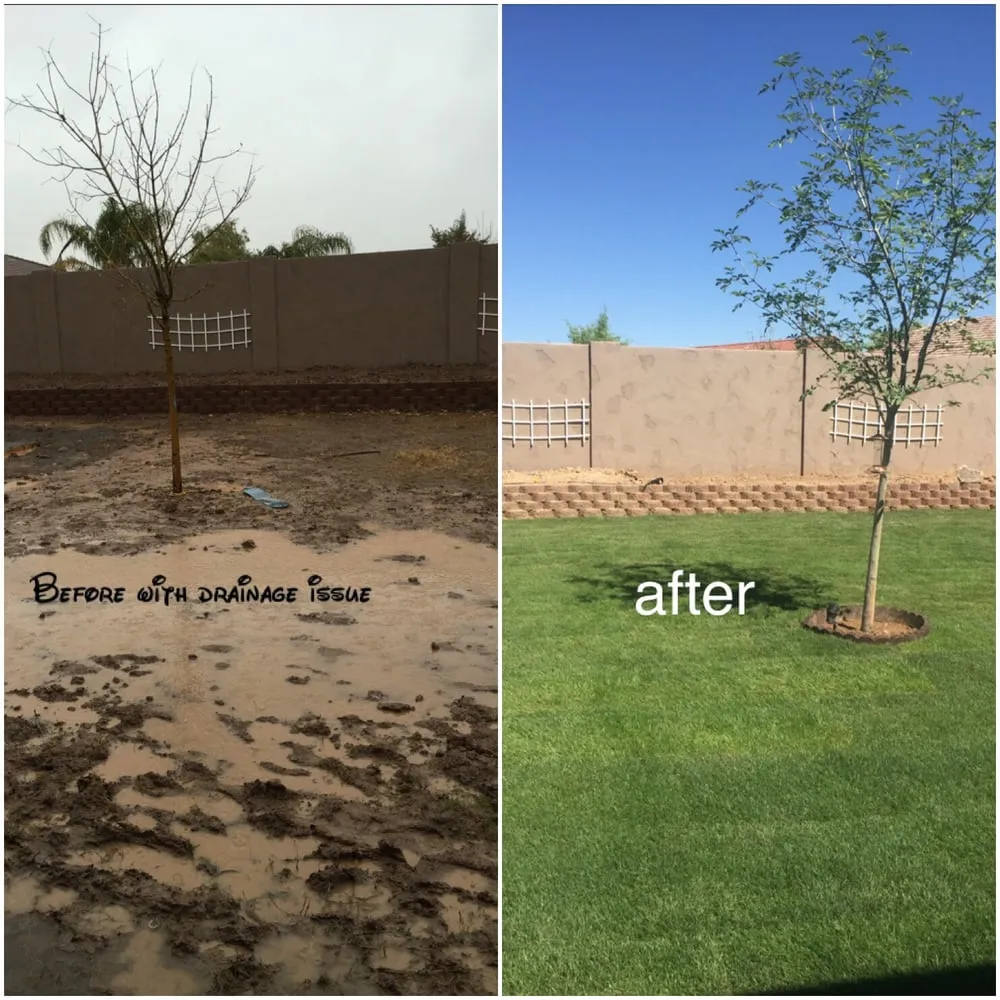 Top-rated outdoor landscaping in Tempe, AZ - Arizona’s Landscaping Authority