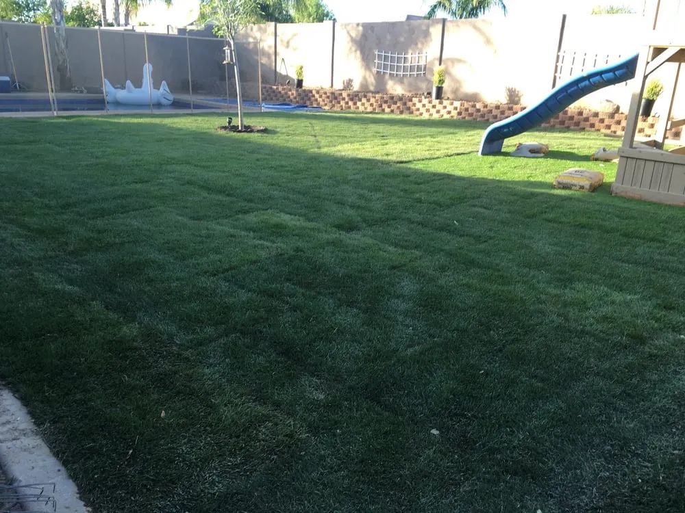Custom outdoor landscaping with custom design across Tempe, AZ - Arizona’s Landscaping Authority