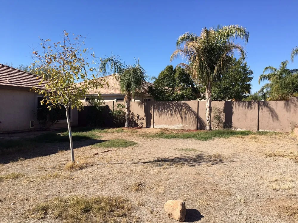 Expert outdoor landscaping in Tempe, AZ by Arizona’s Landscaping Authority