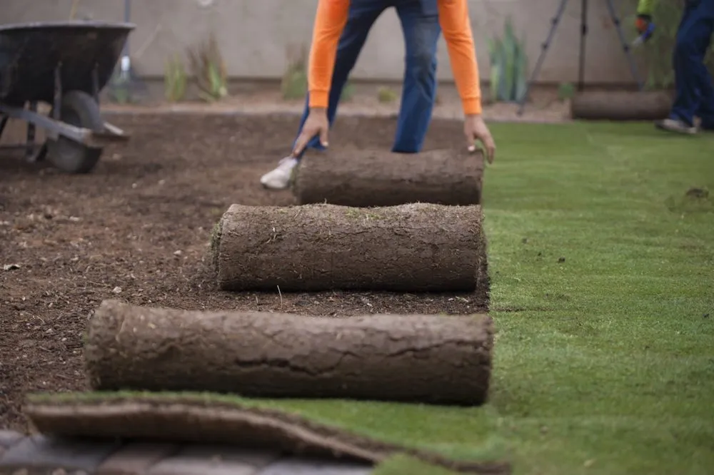 Professional landscape installation for year-round maintenance across Tempe, AZ - Arizona’s Landscaping Authority