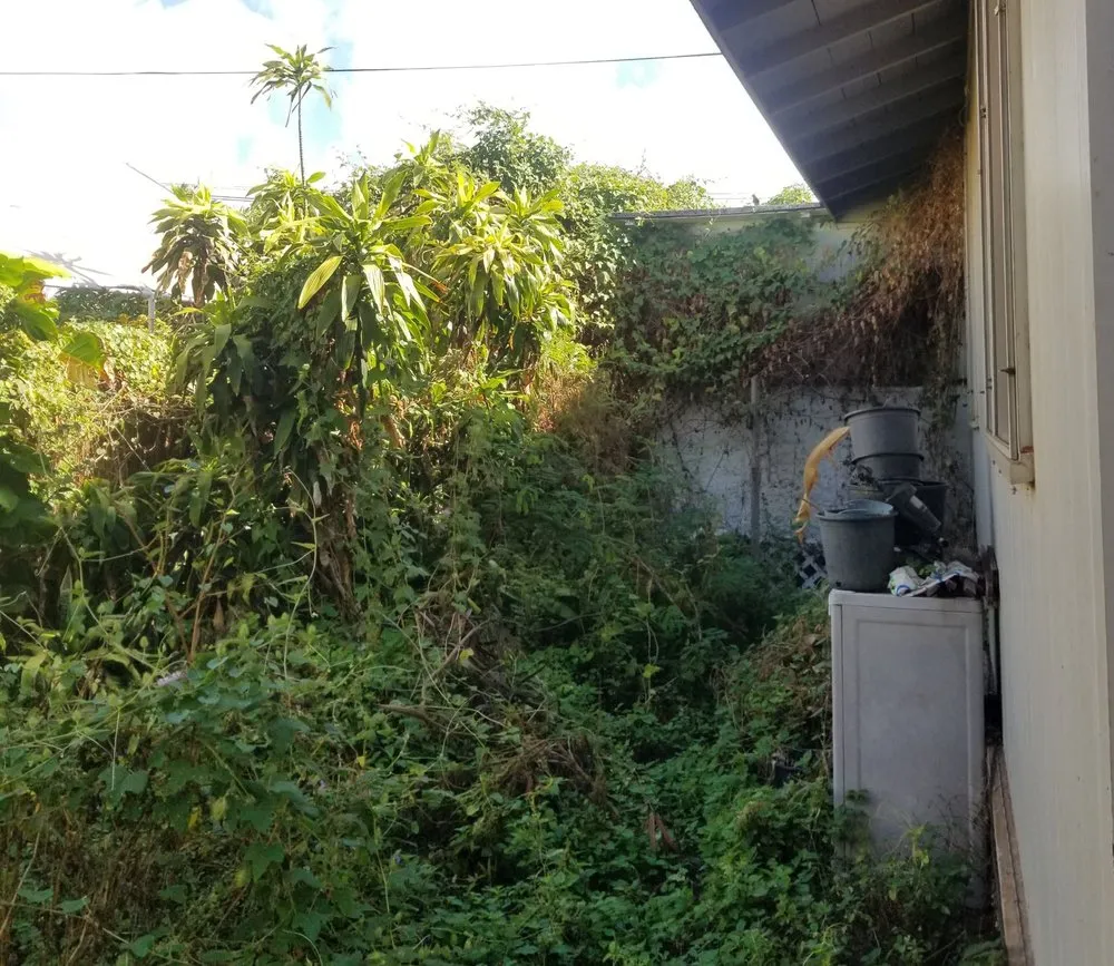 Affordable yard cleanup service experts serving Wahiawa, HI - arjyardservice