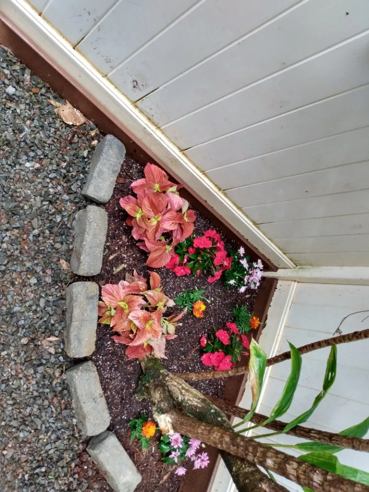 Affordable garden landscaping in Wahiawa, HI by arjyardservice