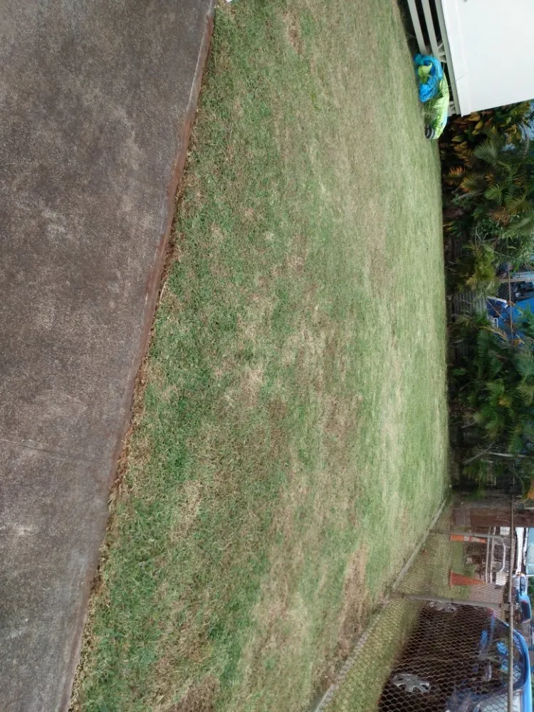 Expert yard maintenance in Wahiawa, HI - arjyardservice