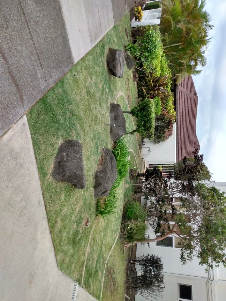 Affordable lawn care service in Wahiawa, HI by arjyardservice