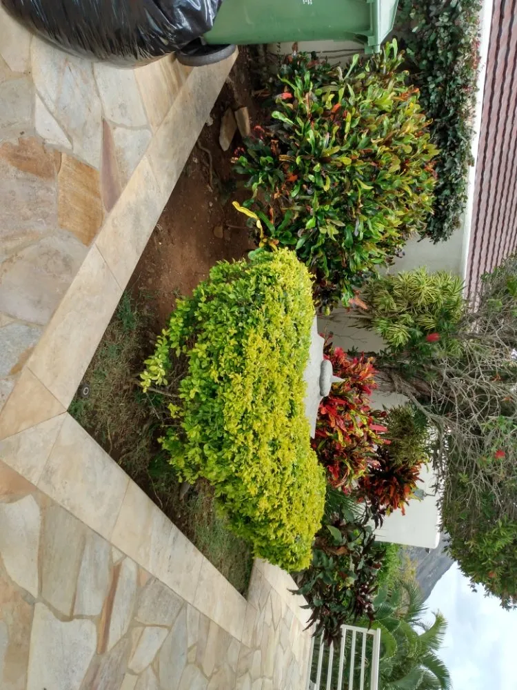 Professional lawn mowing service for homes across Wahiawa, HI - arjyardservice