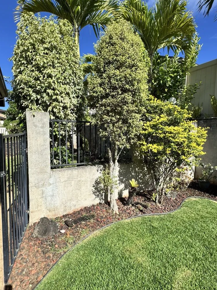 Affordable landscaping services experts serving Wahiawa, HI - arjyardservice