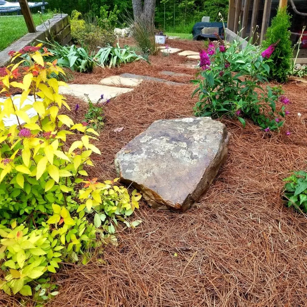 Trusted yard cleanup service for homes across White Bluff, TN - ARK Landscaping and Lawncare